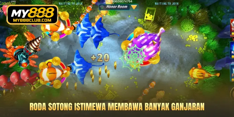 Roda Sotong Istimewa membawa banyak ganjaran