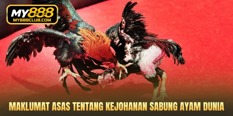 Maklumat asas tentang Kejohanan sabung ayam dunia