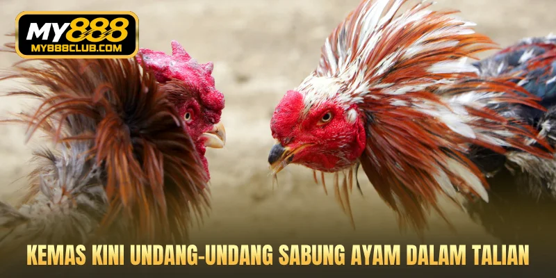 Kemas kini undang-undang sabung ayam dalam talian