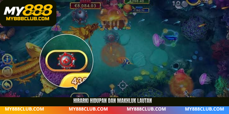Hirarki hidupan dan makhluk lautan